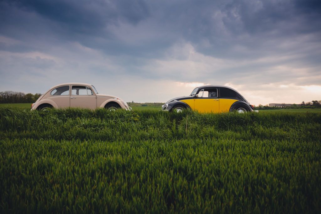 Two VW bugs head to head in a grassy field