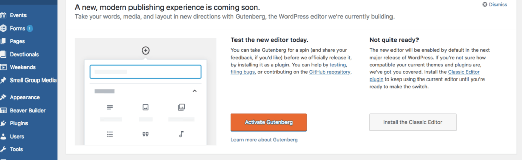 Option to Activate Gutenberg or Install the Classic Editor